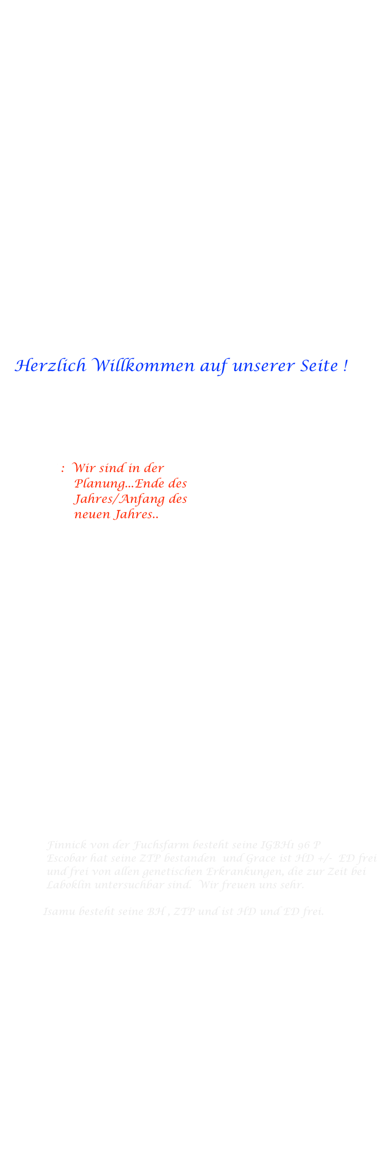      Die Fuchsfarm
               Rottweiler von der Fuchsfarm -
                                   Hovawarte von den Eifelwiesen 
                                                      

               ( liebevolle Familien- und Hobbyzucht aus Leidenschaft 
                                                                                        und Freude am Hund )
 







Herzlich Willkommen auf unserer Seite !




 NEWS :  Wir sind in der 
                Planung...Ende des 
                Jahres/Anfang des 
                neuen Jahres..  
                            
                           
                                                     
                  
             
                                                                                                   


 

 
                                

      

     


               

           
          Finnick von der Fuchsfarm besteht seine IGBH1 96 P
          Escobar hat seine ZTP bestanden  und Grace ist HD +/-  ED frei
          und frei von allen genetischen Erkrankungen, die zur Zeit bei 
          Laboklin untersuchbar sind.  Wir freuen uns sehr. 

         Isamu besteht seine BH , ZTP und ist HD und ED frei. 
 
         Igor ist auch HD und ED frei. Danke !
                     
         Elton von der Fuchsfarm hat seine IGBH 1 mit 95 Punkten  
         bestanden !         Wir sind ganz stolz auf alle ! Vielen Dank !

         .       
          .        
         Escobar von der Fuchsfarm ist HD frei / ED frei LÜW frei.
         Elton von der Fuchsfarm ist HD frei / ED frei LÜW frei

        Cleo von der Fuchsfarm ist HD/ED frei LÜW frei
        .
        .   
        . 


             